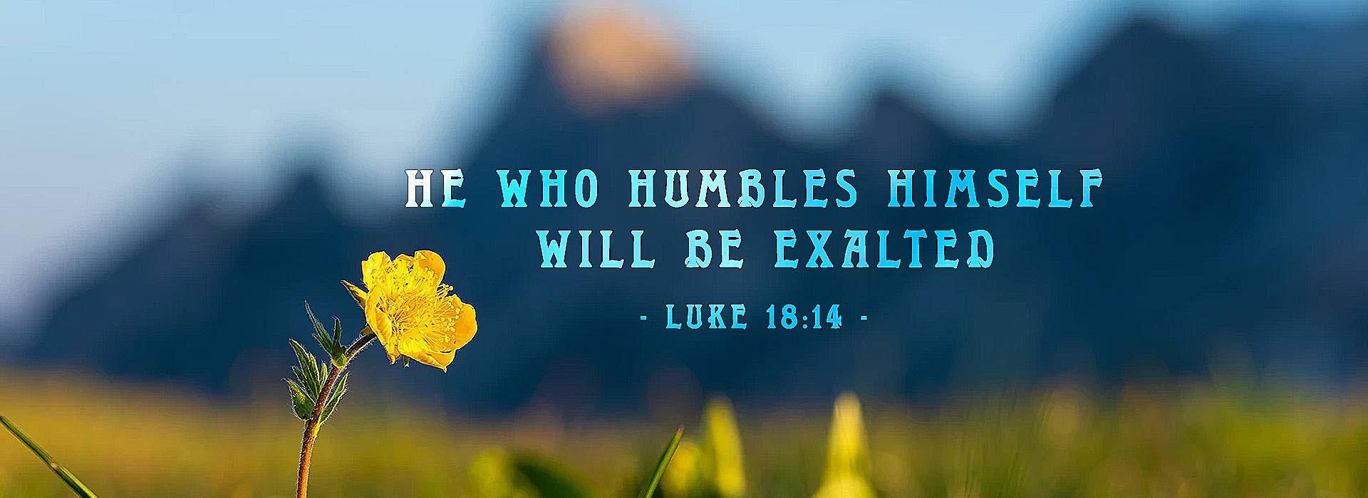 Sunday 26th October 2025